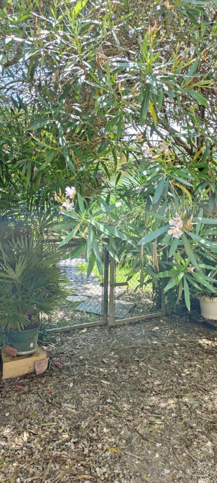 Villaluigia - Oasi Le Palme Padova Eksteriør bilde